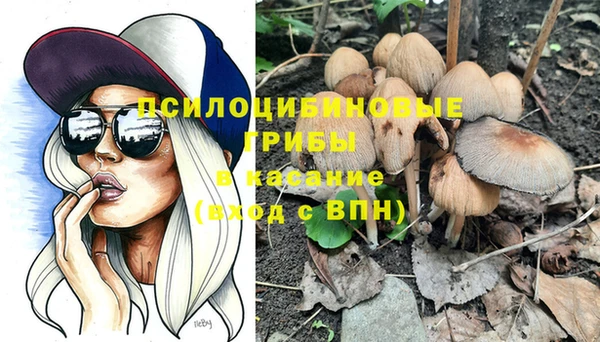 PSILOCYBIN Бугульма